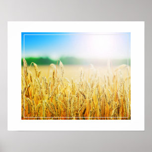 Poster-Wheat Poster