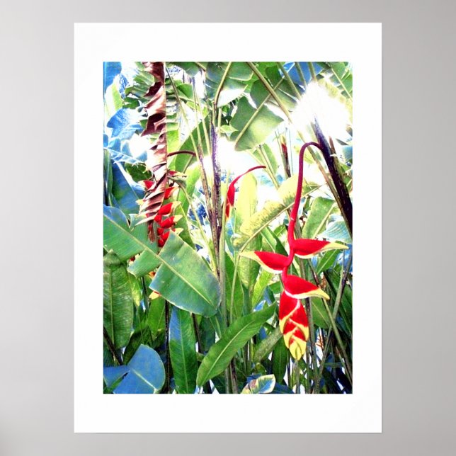 Poster white (18" x 24") The Red Flowers Bali (Front)