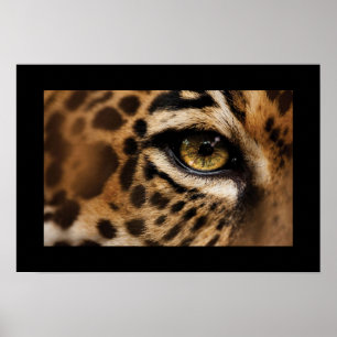 Poster-Wild Cat Poster
