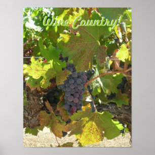 Poster - Wine Country