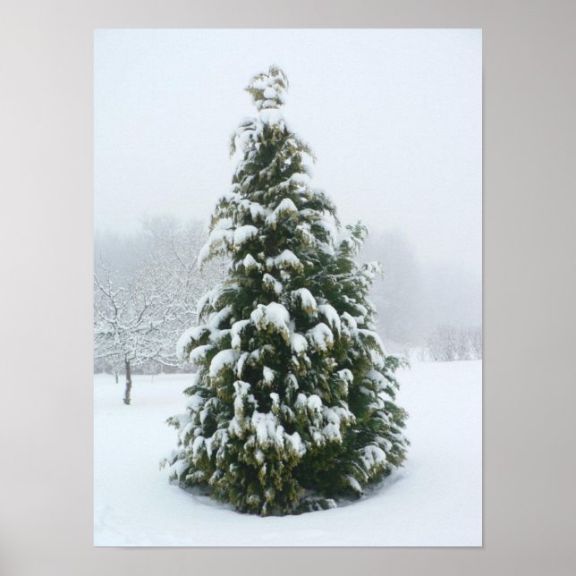 Poster Winter Scene (Front)