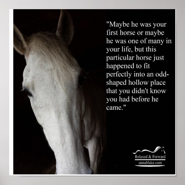 Poster with Anna Blake Quote about horses. (Front)