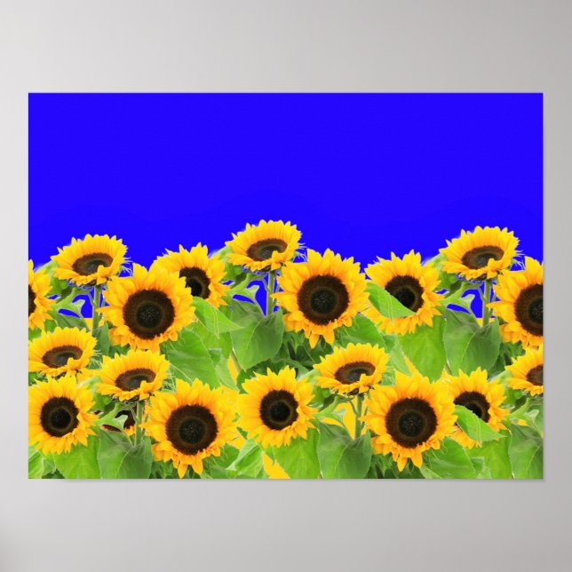 Poster with Sunflowers (Front)