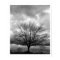 POSTER with upgrade option 'Storm Clouds'