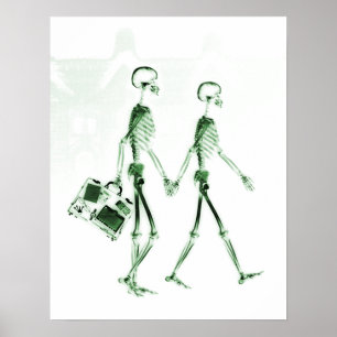 Poster- X-Ray Skeleton Couple Travelling Green Poster