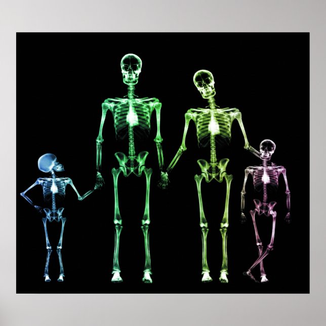 POSTER - X-RAY SKELETON FAMILY BLACK ORIGINAL (Front)