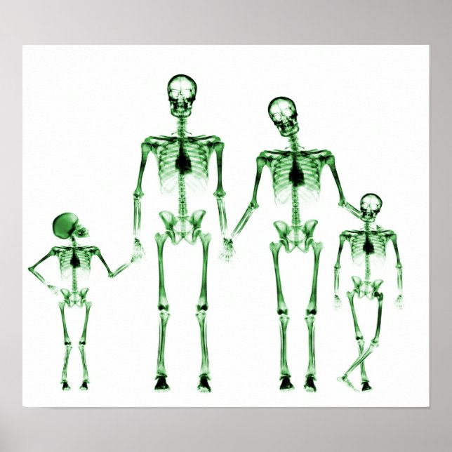 POSTER - X-RAY SKELETON FAMILY WHITE GREEN (Front)