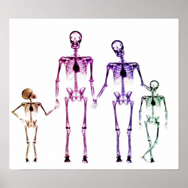 POSTER - X-RAY SKELETON FAMILY WHITE ORIGINAL (Front)
