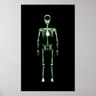Poster - X-Ray Vision Single Skeleton Black Green