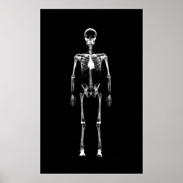Poster - X-Ray Vision Single Skeleton Black White (Front)
