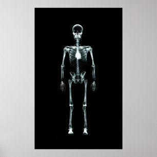 Poster - X-Ray Vision Single Skeleton Original