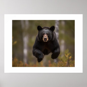 Poster Yellowstone Bear 