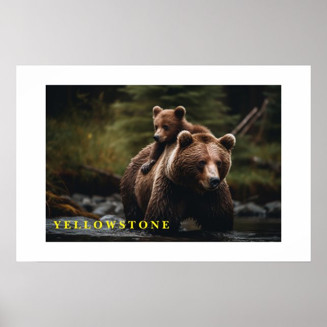 Poster Yellowstone Bear (Front)