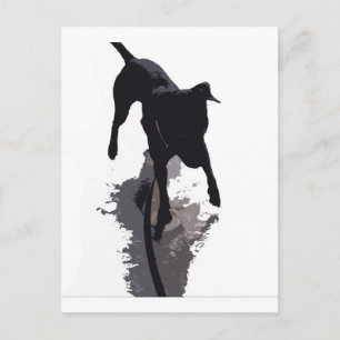 posterised dog and shadow postcard
