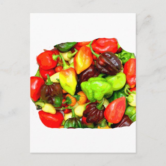 Posterised Hot Pepper Assortment Picture Postcard (Front)