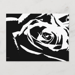 Posterised Rose Art Postcard