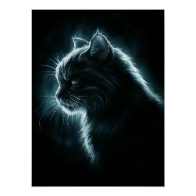 Posters Dives Cat 2 (Front)