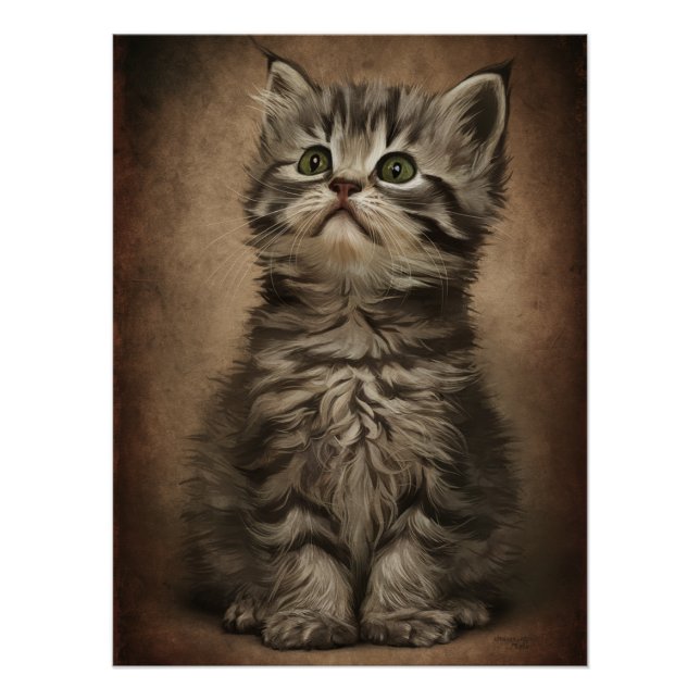 Posters Dives Cat 4 (Front)