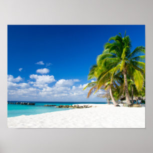 Posters - Sous le soleil des tropiques