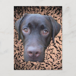 Postkarte Labrador Jimmy Postcard