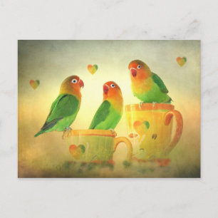 Postkarte Postcard
