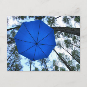 Postkarte - under big trees postcard