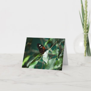 Postman 184 Card
