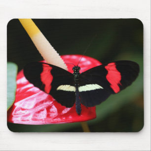 Postman Butterfly Mouse Mat