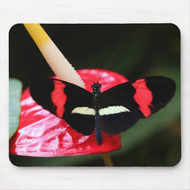 Postman Butterfly Mouse Mat (Front)