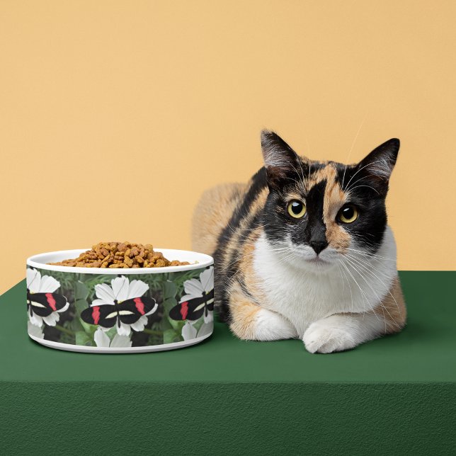 Postman Butterfly on White Flower Pattern Bowl (In Situ)