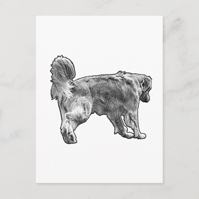 Postmarked Golden Hello Postcard (Front)