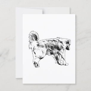 Postmarked Retriever Hello Postcard