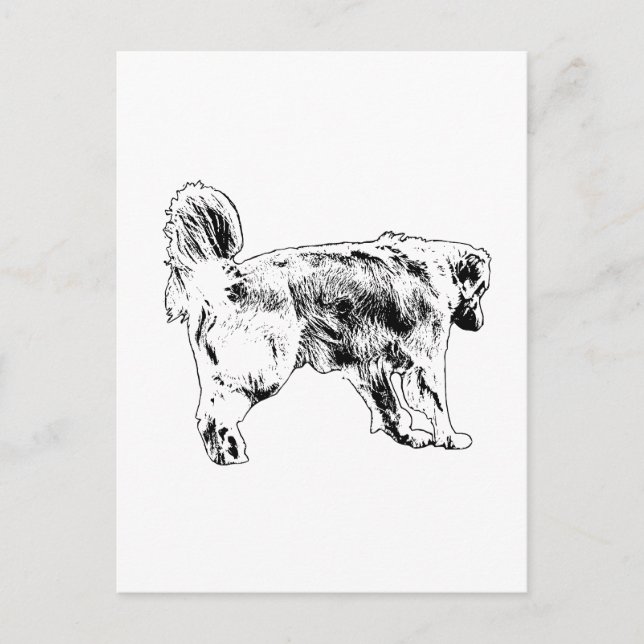 Postmarked Retriever Hello Postcard (Front)