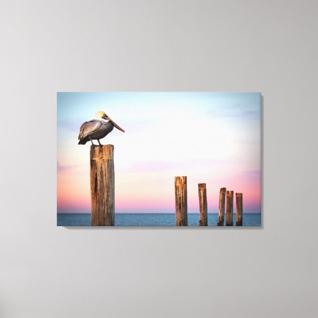 Posts & a Pelican | Fort Myers Beach, Florida Canvas Print (Front)