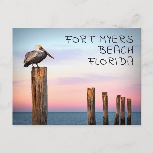 Posts & a Pelican | Fort Myers Beach, Florida Postcard (Front)