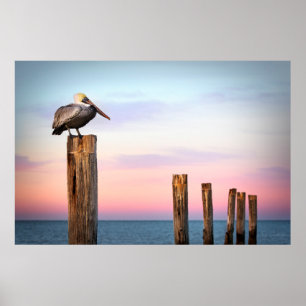 Posts & a Pelican   Fort Myers Beach, Florida Poster