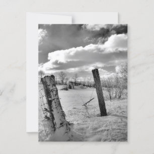 Posts in the Snow Postcard