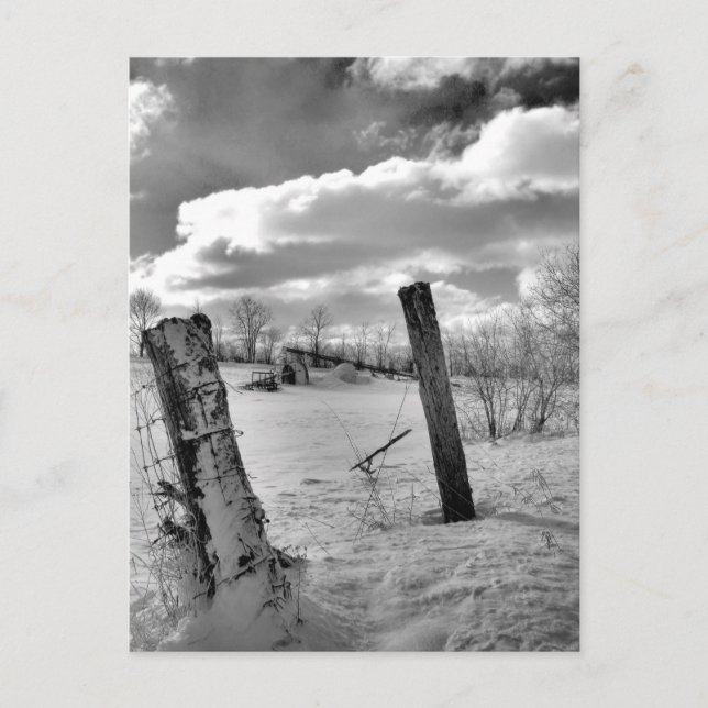Posts in the Snow Postcard (Front)