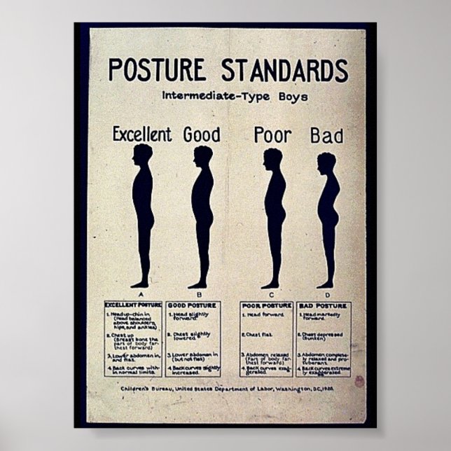 Posture Standards Poster (Front)