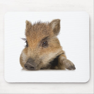 pot bellied pig piglet vector mouse mat