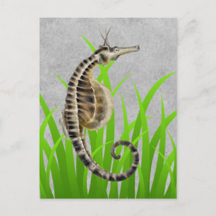 Pot Bellied Sea Horse Animal Print Postcard