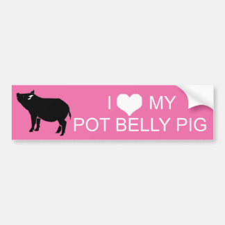 Pot Belly Pig Bumper Sticker