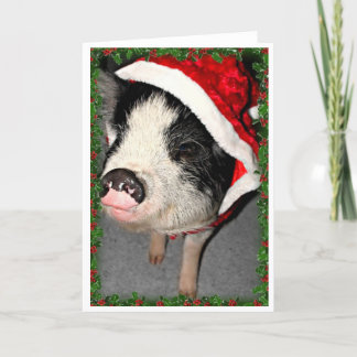 Pot Belly Pig Christmas Holiday Card