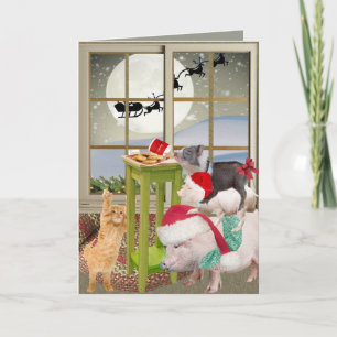 Pot Belly Pig Christmas Wish Cards