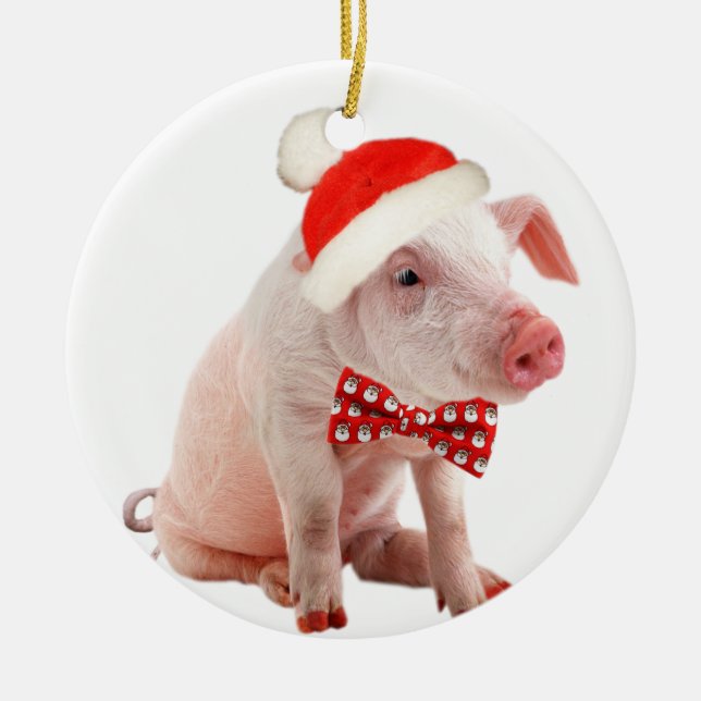 Pot Belly Pigs Christmas Ornament (Front)