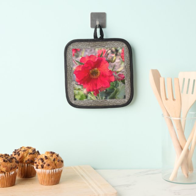 Pot Holder with Beautiful Red Rose (Insitu(Hanging))