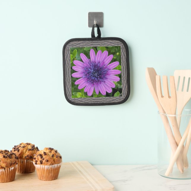 Pot Holder with Purple African Daisy (Insitu(Hanging))