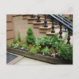 Pot O Trouble Postcard