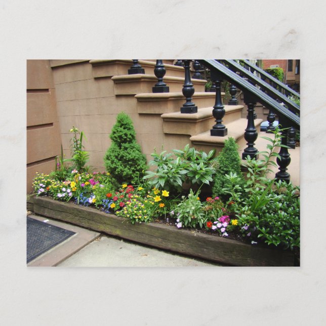 Pot O Trouble Postcard (Front)