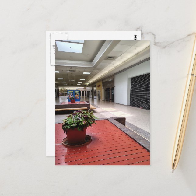 Pot of Houseplants Liminal Space Abandoned Mall Postcard (Front/Back In Situ)